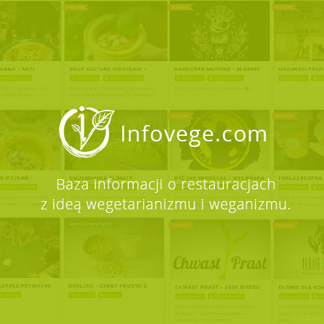 Realizacja dla firmy Infovege